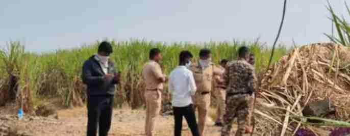 Dead body of a woman was found in a sugarcane field