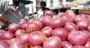 Akole Onion Market