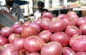 Akole Onion Market