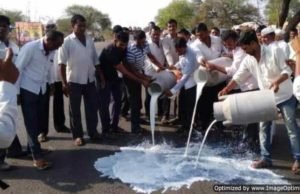 Sangamner: farmers stopped Mumbai's milk supply