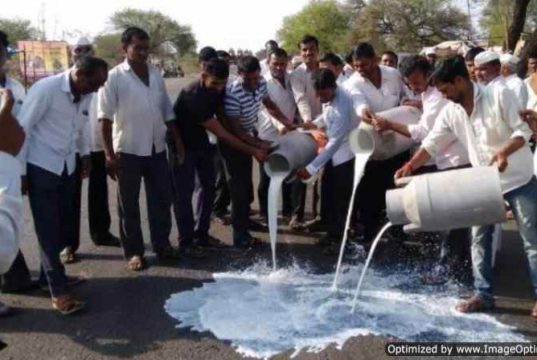 Sangamner: farmers stopped Mumbai's milk supply