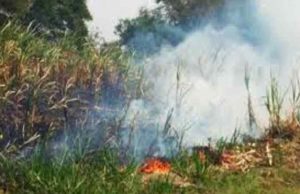 akole taluka news sugarcane burnt due to the short circuit