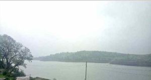 Latest News Akole: Bhandara Dam Dam Filled With 50%; The Offspring Of The Rain Begins
