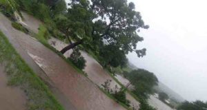 Latest News Akola taluka Hits Heavy Rainfall