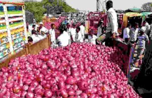 Latest News onion export Conspiracy Ajit Navale
