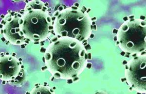 Coronavirus Akole one sangamner two patient