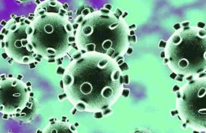 Coronavirus Akole taluka third patient