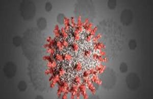 Coronavirus Sangamner taluka five patient today