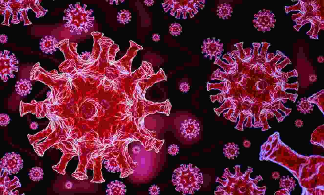 Coronavirus Akole Waghapur corona infected