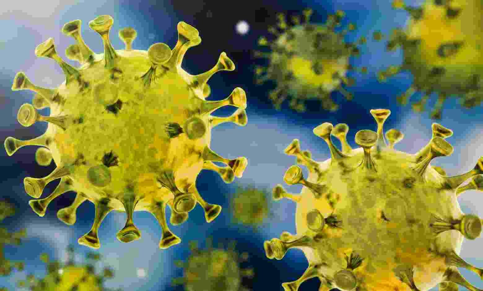 Coronavirus Sangamner 11 corona infected