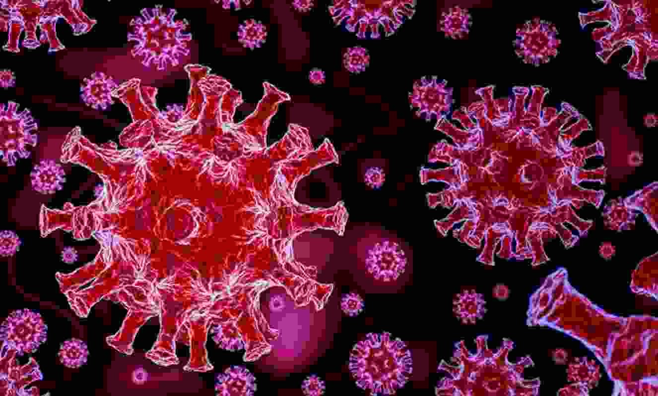 Coronavirus Sangamner 22 corona infected