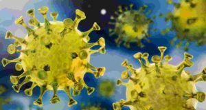 Coronavirus Sangamner Akole corona patient found