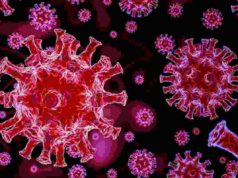 Coronavirus Sangamner akole corona update today