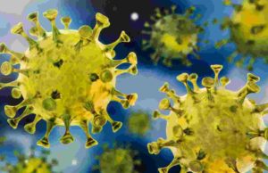 Coronavirus Sangamner taluka 12 and Akole taluka 5 infected