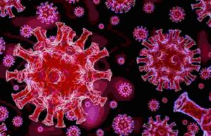 Coronavirus Sangamner today update