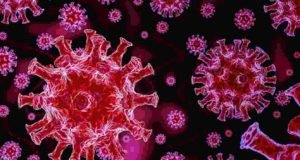 Coronavirus sangamner taluka 40 corona infected