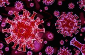 Coronavirus Sangamner Taluka 51 corona infected