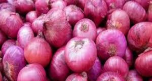 Ahmednagar Onion prices rise