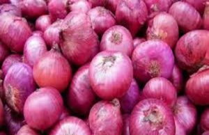 Ahmednagar Onion prices rise