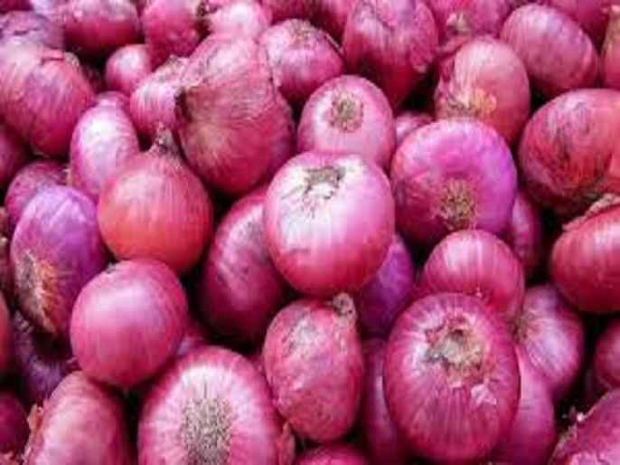 Ahmednagar Onion prices rise