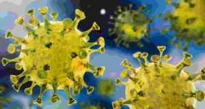 Akole taluka coronavirus 10 th death 