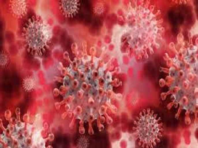 Akole taluka increased 20 infected coronaviruses today 