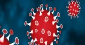 Coronavirus Akole taluka 8 corona infected and one death