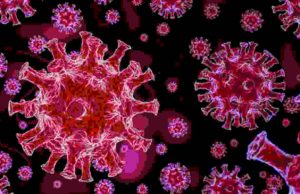 Coronavirus Sangamner Taluka 38 new corona infected