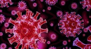 Sangamner taluka 13 coronaviruses infected
