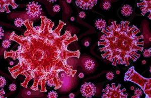 Sangamner taluka 13 coronaviruses infected