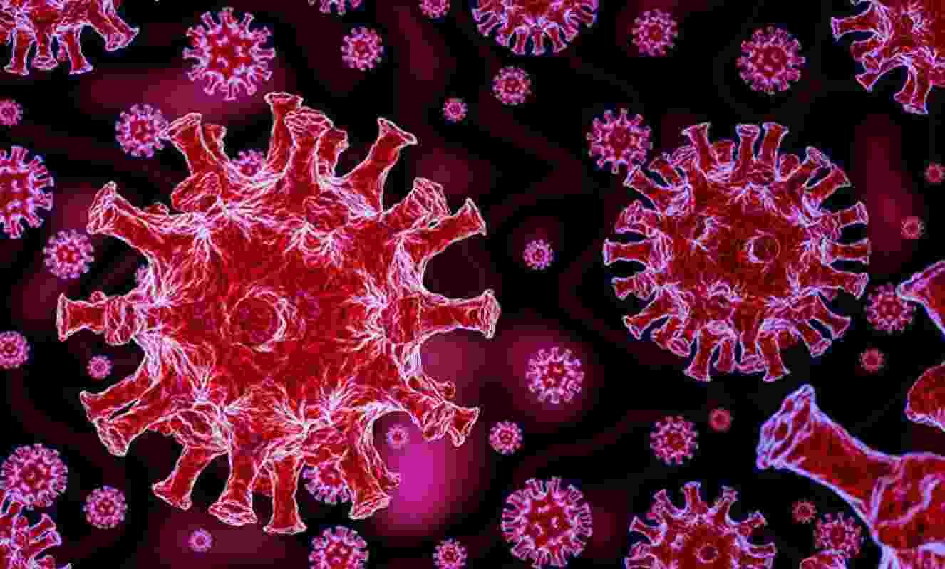 Sangamner taluka 13 coronaviruses infected