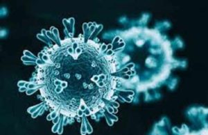 Akole Taluka Today 57 corona infected