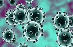 Akole Taluka two death 20 infected coronaviruses