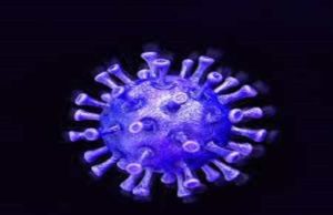 Akole taluka 26 corona infected Today