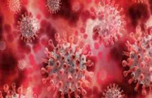 Akole taluka one thousand corona infected
