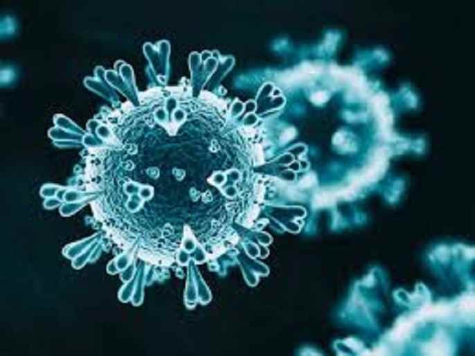 Coronavirus Akole Taluka 47 corona infected one day