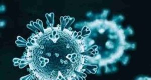 Rahuri Taluka 35 corona infected one death 