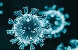 Sangamner Taluka 16 corona infected 