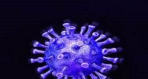 Sangamner Taluka Coronavirus update News