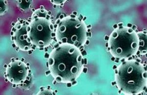 Akole Taluka 29 corona infected Today 