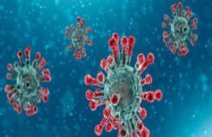 Akole taluka 24 corona infected today