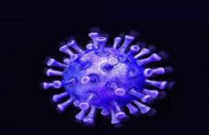 Akole taluka 31 corona infected one death