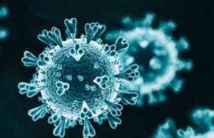 Akole taluka Corona Decreases today 16 infected 