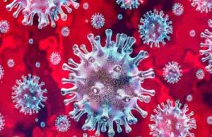 Akole taluka Increase corona infected today