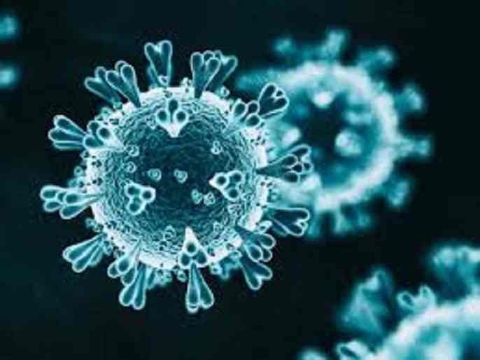Sangamner Taluka 53 corona infected increased 