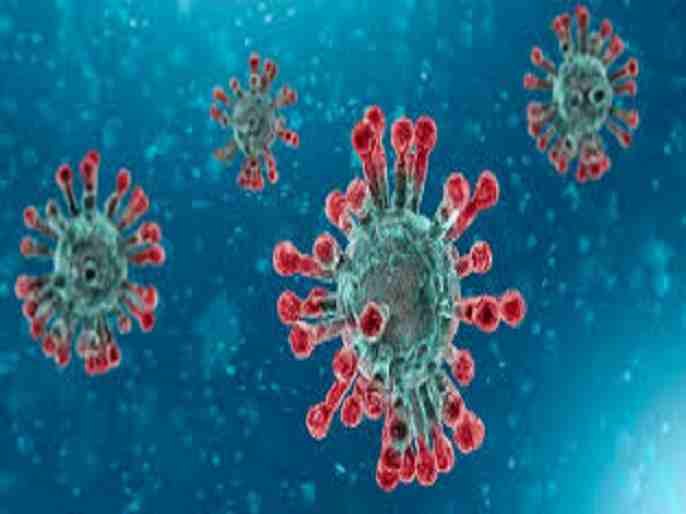 Akole six infected Coronaviruses 