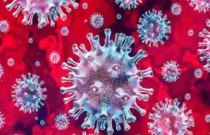 Akole Taluka 9 corona infected Today Total 2988 
