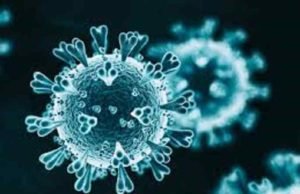 Akole taluka 8 Coronavirus infected Today
