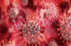 Sangamner Taluka 49 coronavirus infected Tuesday