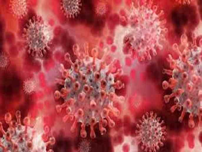Sangamner Taluka 49 coronavirus infected Tuesday